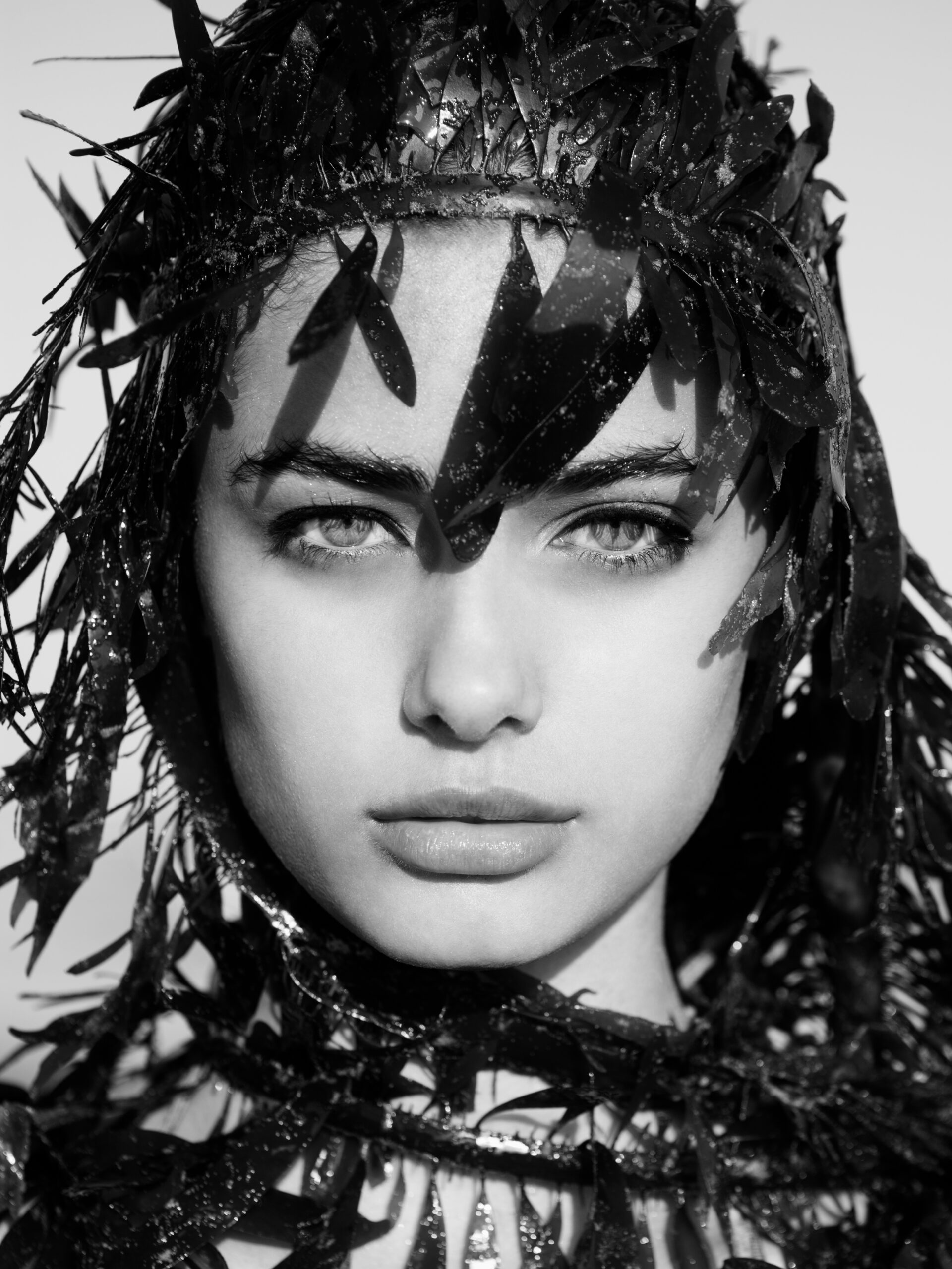 19 - TAYLOR HILL MALIBU CALIFORNIA - 3X4